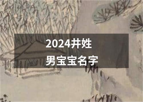 2024井姓男宝宝名字