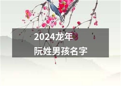 2024龙年阮姓男孩名字