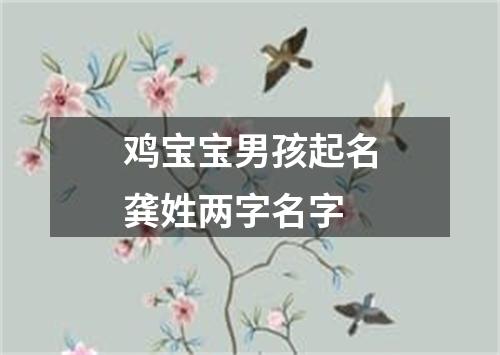 鸡宝宝男孩起名龚姓两字名字