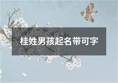 桂姓男孩起名带可字