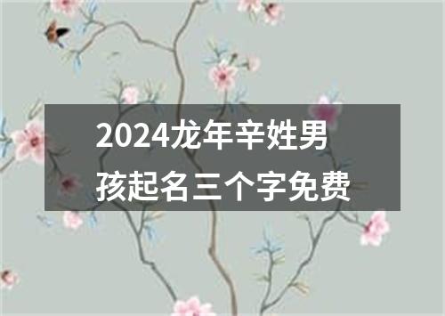 2024龙年辛姓男孩起名三个字免费