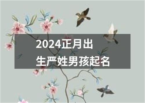 2024正月出生严姓男孩起名