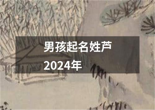 男孩起名姓芦2024年