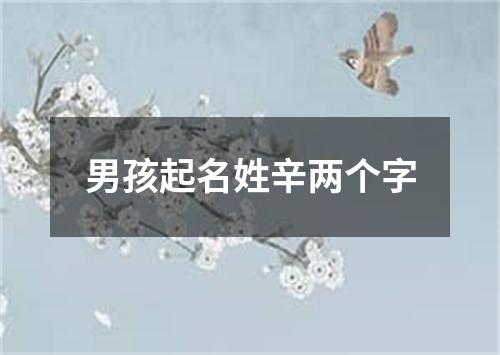 男孩起名姓辛两个字