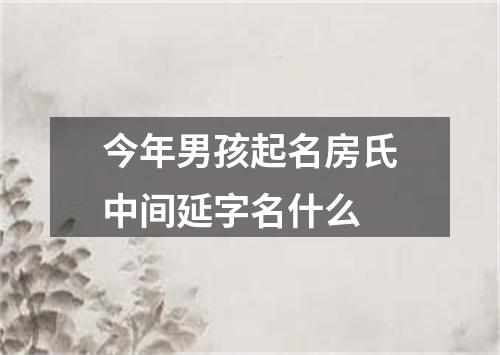 今年男孩起名房氏中间延字名什么