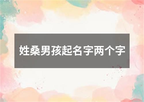 姓桑男孩起名字两个字