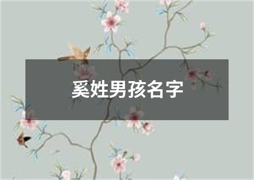 奚姓男孩名字