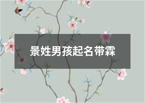 景姓男孩起名带霖