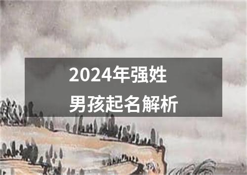 2024年强姓男孩起名解析