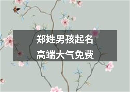 郑姓男孩起名高端大气免费