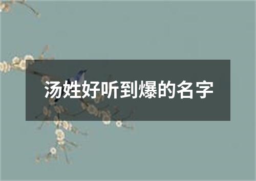 汤姓好听到爆的名字