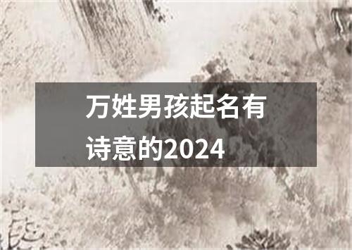 万姓男孩起名有诗意的2024