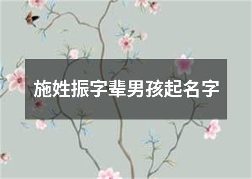 施姓振字辈男孩起名字