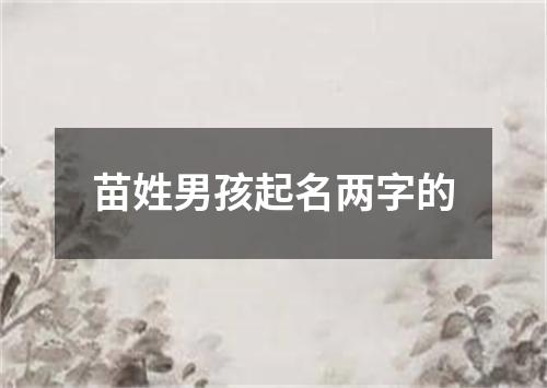 苗姓男孩起名两字的