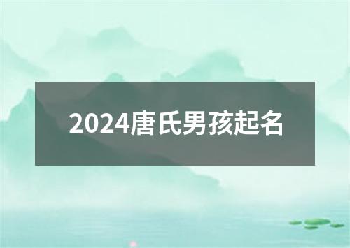 2024唐氏男孩起名