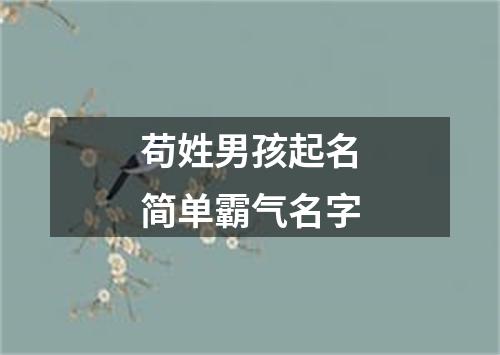 苟姓男孩起名简单霸气名字