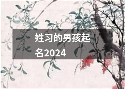 姓习的男孩起名2024