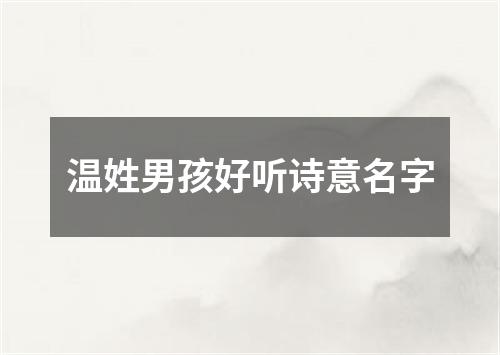 温姓男孩好听诗意名字