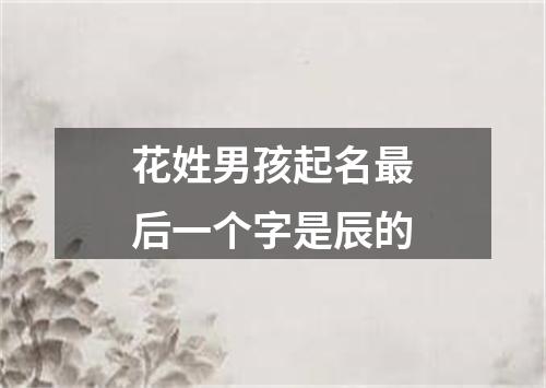 花姓男孩起名最后一个字是辰的