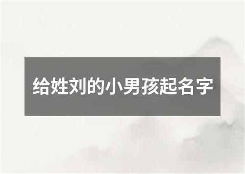 给姓刘的小男孩起名字