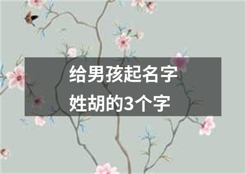 给男孩起名字姓胡的3个字