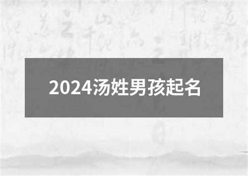 2024汤姓男孩起名