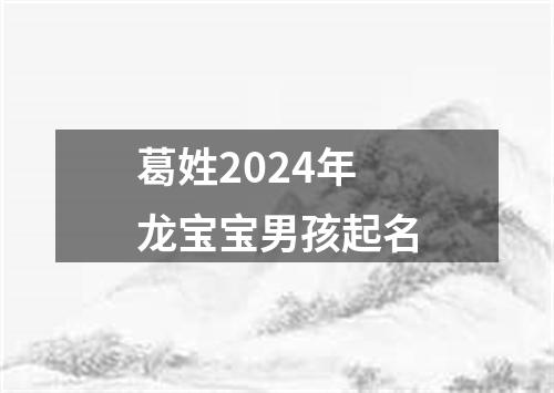 葛姓2024年龙宝宝男孩起名