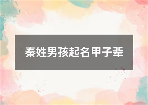 秦姓男孩起名甲子辈