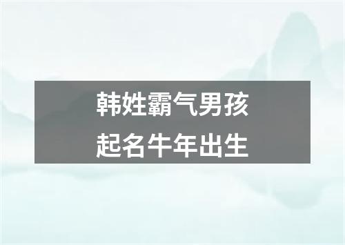 韩姓霸气男孩起名牛年出生