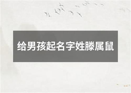 给男孩起名字姓滕属鼠