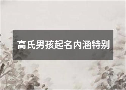 高氏男孩起名内涵特别