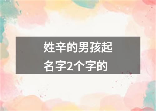 姓辛的男孩起名字2个字的