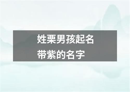 姓栗男孩起名带紫的名字