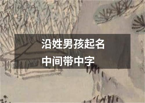 沿姓男孩起名中间带中字