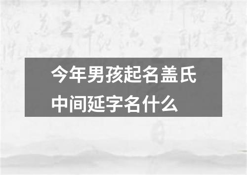 今年男孩起名盖氏中间延字名什么