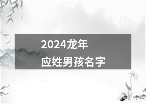 2024龙年应姓男孩名字