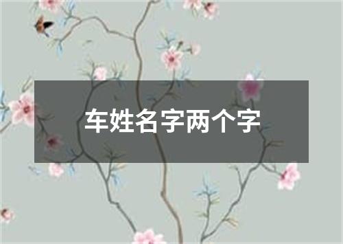 车姓名字两个字