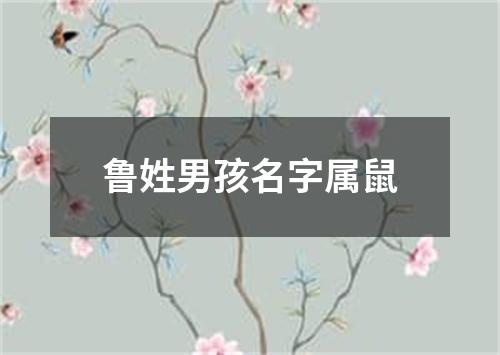 鲁姓男孩名字属鼠