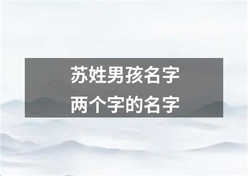 苏姓男孩名字两个字的名字