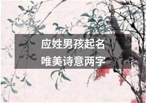 应姓男孩起名唯美诗意两字