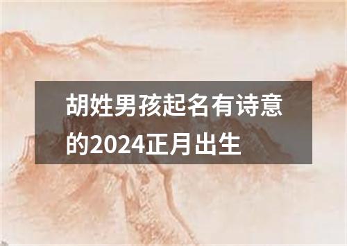 胡姓男孩起名有诗意的2024正月出生