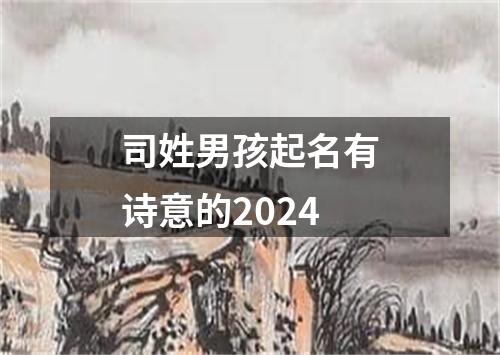 司姓男孩起名有诗意的2024