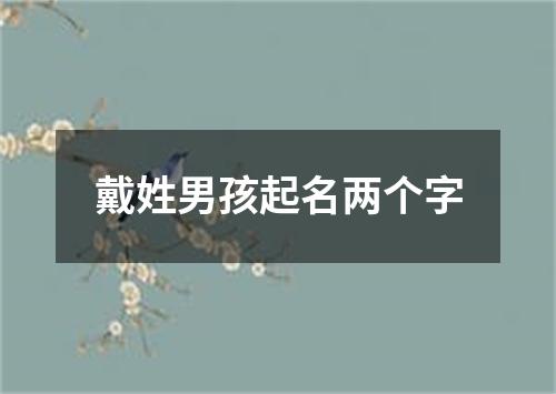 戴姓男孩起名两个字