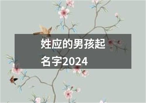 姓应的男孩起名字2024