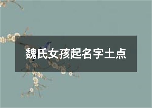 魏氏女孩起名字土点