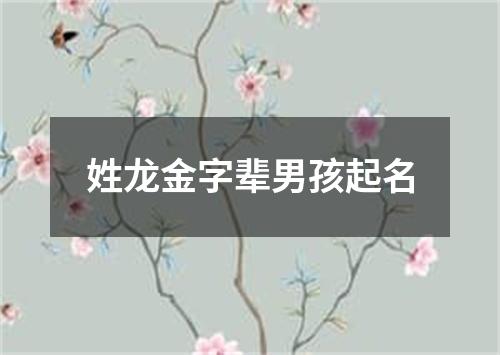 姓龙金字辈男孩起名