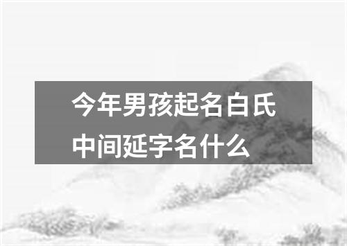 今年男孩起名白氏中间延字名什么