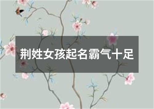 荆姓女孩起名霸气十足