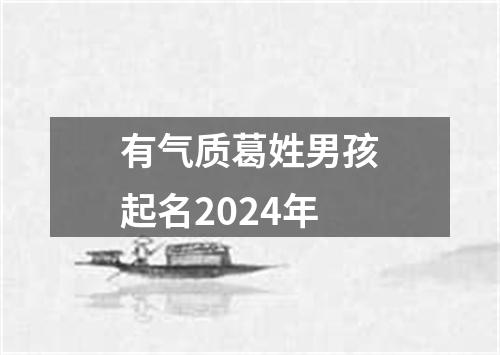 有气质葛姓男孩起名2024年