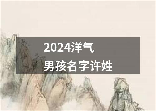 2024洋气男孩名字许姓